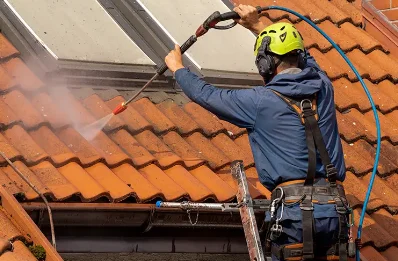Démoussage et hydrofuge de toiture à Reuville